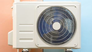 Which Renewable Energy Is Best for Your Home or Business